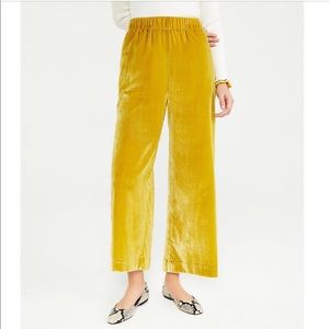 NEW Ann Taylor Velvet Mustard Yellow flowy Pant/Trouser size small ($129 Retail)